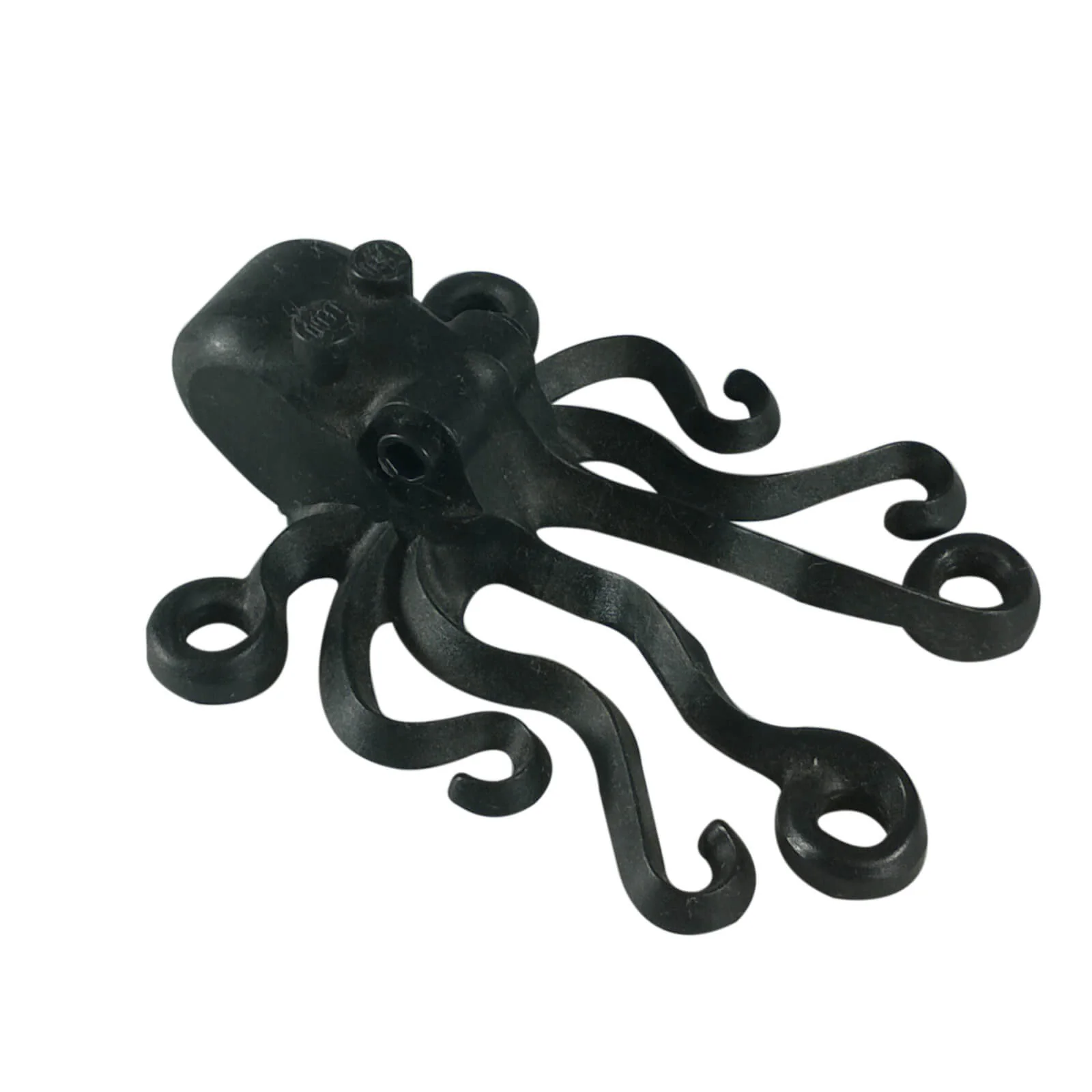 Octopus & Squid